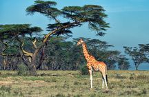 5 Days Budget Safari in Tanzania