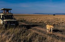 5 Days Budget Safari in Tanzania