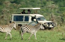 5 Days Budget Safari in Tanzania