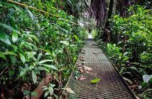 Tortuguero National Park - Admission Ticket
