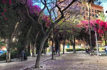 Three Parks Tour | Private Ride by Bike, E-Bike, E-Step or Segway