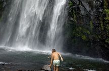 Private Tour to Materuni Waterfalls, coffee tour & Kikuletwa Hot Springs