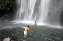 Private Tour to Materuni Waterfalls, coffee tour & Kikuletwa Hot Springs