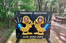 Deluxe Tamborine, Springbrook, Skywalk, Glow Worm Cave