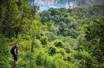 Hiking To Minca