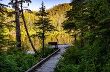 Private Ketchikan Mountain Lake Extended Trek to Alpine Overlook