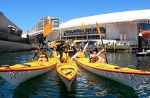 Darling Harbour Explorer - Sea Kayaking Tour 