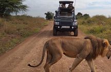 Nairobi National park private day tour
