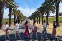 Full Day VIP Private Tour (Cruise Passengers Only)