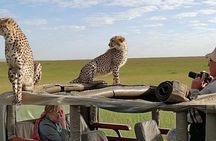3 Days Masai Mara Budget Camping Safari on 4X4 Land Cruiser