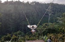 4 Days Private Tour Bali Highlights Nusa Penida and Ubud 