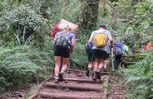 Best 7 Days Machame Route group hiking on Kilimanjaro