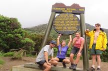 Best 7 Days Machame Route group hiking on Kilimanjaro