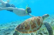 4 Days Private Tour Bali Highlights Nusa Penida and Ubud 