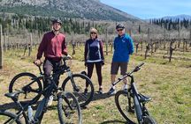 E-Bike Tour + Gourmet Lunch + Wine Tasting (Small Group)