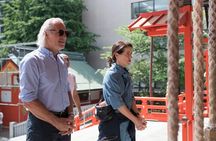 Tokyo Private & Personalized Half-Day Tour with a Local Guide