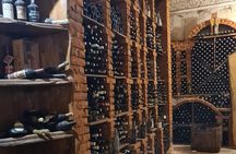 Oysters & Wine Tour From Dubrovnik (Small Group)