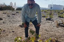 Santorini Private Tour from Athens: Sightseeing & Wine Tasting