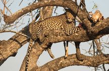 1 Day Tsavo East Safari ( Minimum 2 Pax)