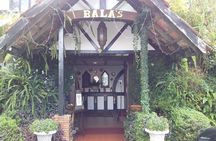 Cameron Highlands Full Day Tour