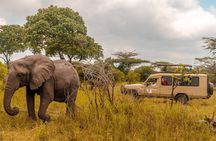 4 Days Selous Game Reserve Wildlife Encounter Safari