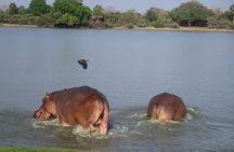 4 Days Selous Game Reserve Wildlife Encounter Safari