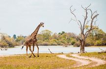 4 Days Selous Game Reserve Wildlife Encounter Safari