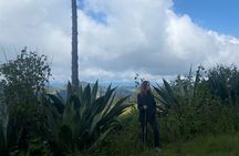 Hike in the Sierra Norte, Cuajimoloyas
