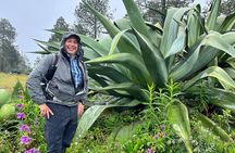 Hike in the Sierra Norte, Cuajimoloyas