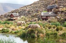 Aquila Game Reserve Safari with wine tasting, Transport & Lunch