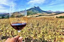  Private Full Day Stellenbosch Wine Tour