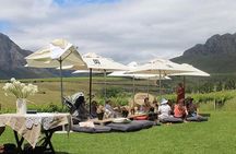 Private Full Day Stellenbosch Wine Tour