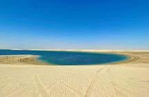 Desert safari Inland Sea Private Tour