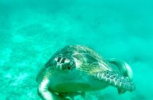 Private Luxury Catamaran Half Day Charter