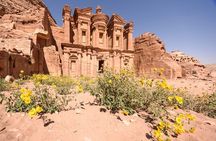 1 Day Tour to Petra From Eilat