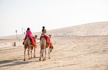 10 Hour Desert Safari Tour at Qatar with BBQ