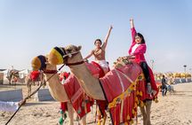 10 Hour Desert Safari Tour at Qatar with BBQ