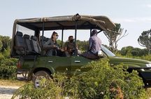 Kenya Volunteering Safari 