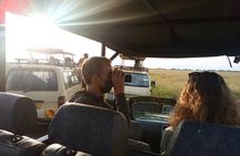 Kenya Volunteering Safari 