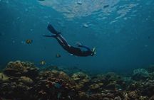 Phi Phi Islands Cruise with Lunch & Sea View Seats from Phuket