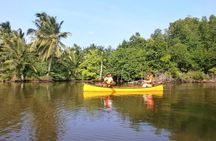 Unawatuna Lagoon Canoeing Excursion