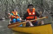 Unawatuna Lagoon Canoeing Excursion