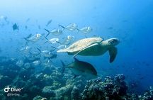 Full Day Tour Pinzon Island + La Fe/Las Palmas - Snorkeling & Fishing