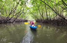 Half Day Kayaking Experience In Ao Thalane