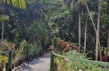 Discover Nadi Fiji Private Tour (All Fees Included)
