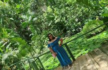 Discover Nadi Fiji Private Tour (All Fees Included)