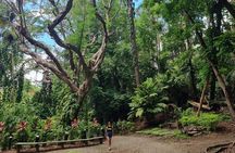 Discover Nadi Fiji Private Tour (All Fees Included)