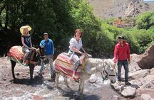 Full Day Private Trip from Marrakech to Atlas with Lunch 