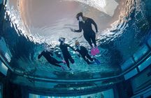 Deep Dive Dubai Pool | Snorkeling Experience 