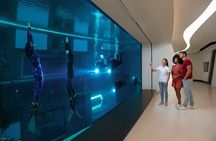 Deep Dive Dubai Pool | Snorkeling Experience 